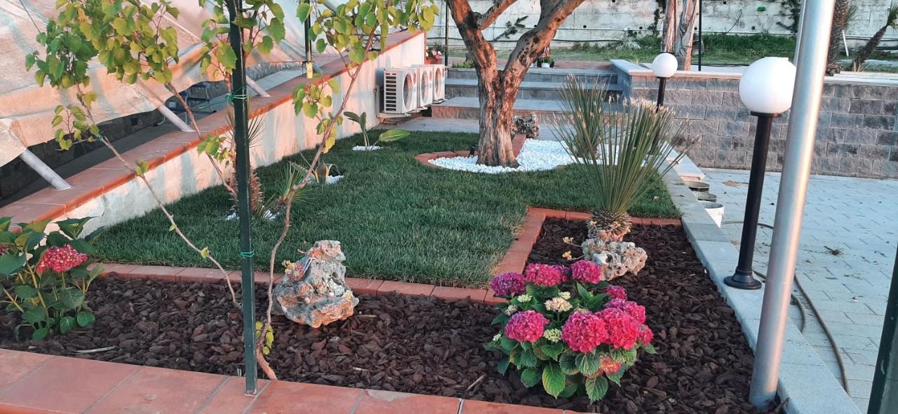 Villa Mola Bed And Breakfast Corbara  エクステリア 写真