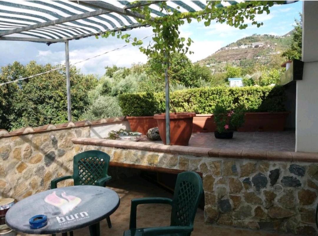 Villa Mola Bed And Breakfast Corbara  エクステリア 写真